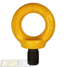 Ring screw grade 80